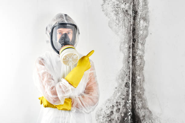 Best Mold Remediation for Vacation Homes  in Danville, CA