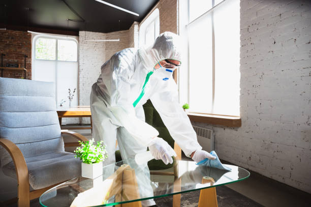 Mold Odor Removal Services in Danville, CA